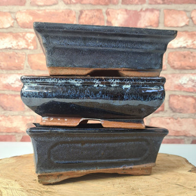 CLEARANCE 18cm Glazed Bonsai Pot | Rectangle | 18cm x 12cm x 6cm | Blue - Yorkshire Bonsai