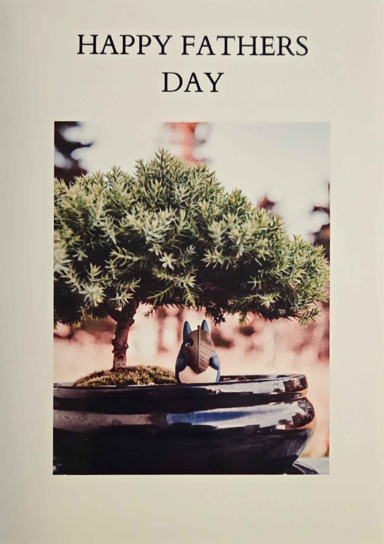 Father's Day Bonsai Premium Starter Bundle | Chinese Elm (Ulmus Parvif ...
