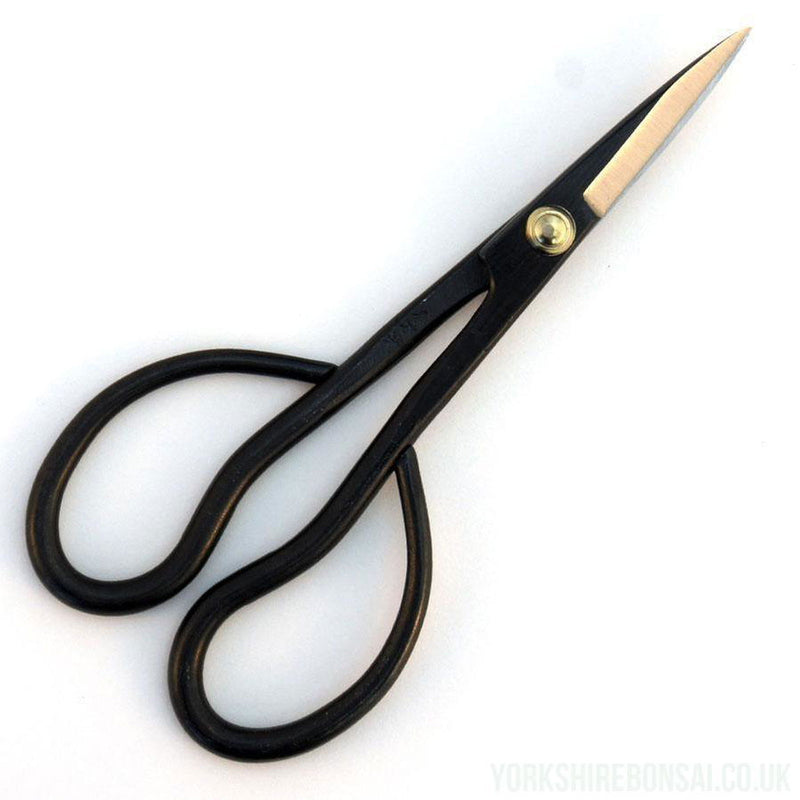 Japanese Fine Trimming Bonsai Scissors 15cm Yagimitsu - Yorkshire Bonsai