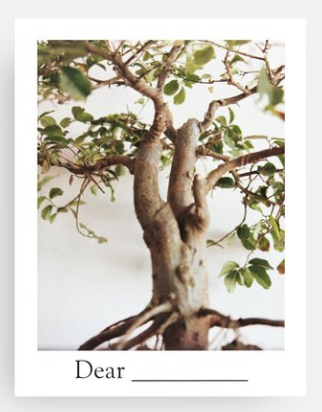 Personalised Gift Card - Yorkshire Bonsai