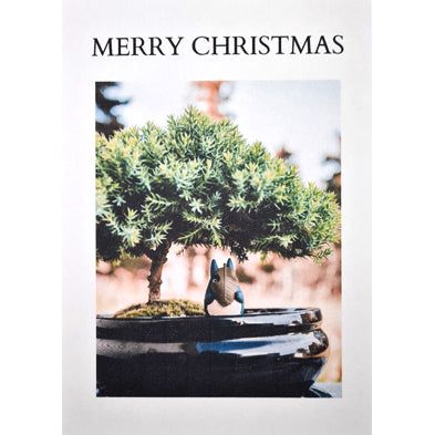 personalised bonsai tree Personalised Greeting Card "Merry Christmas" – Yorkshire Bonsai
