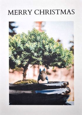 Personalised Greeting Card "Merry Christmas" - Yorkshire Bonsai