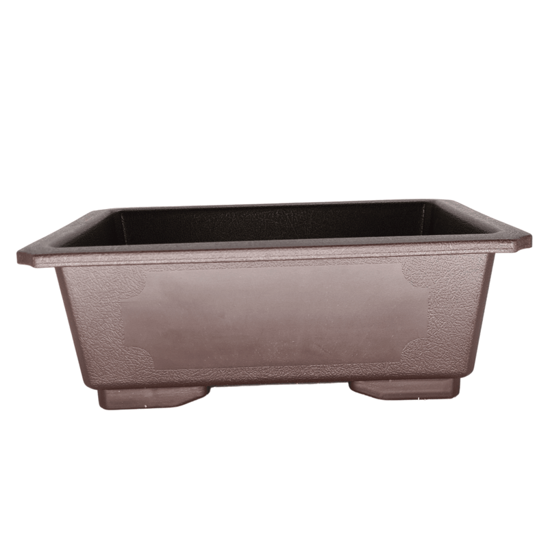 Plastic Bonsai Training Pot | 24cm x 17cm x 9cm - Yorkshire Bonsai