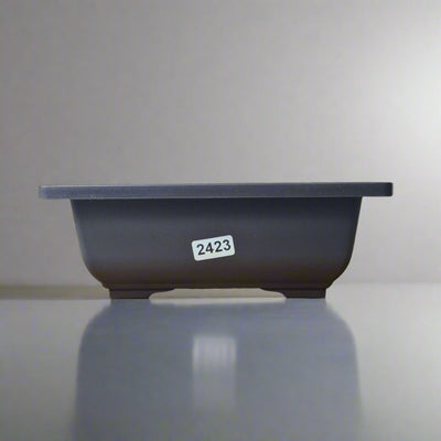 Plastic Bonsai Training Pot | Rectangle | 16cm x 12cm x 6cm - Yorkshire Bonsai
