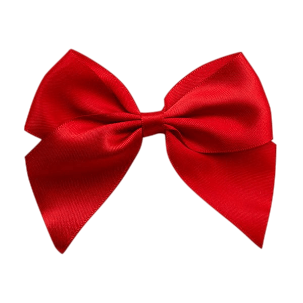 Red Gift Bow - Yorkshire Bonsai