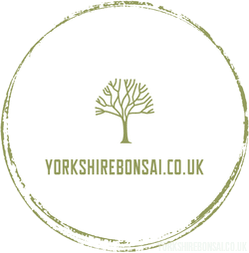 YorkshireBonsai.co.uk Gift Card - Yorkshire Bonsai