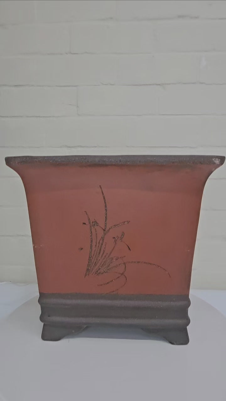 20cm Premium Unglazed Bonsai Pot | Cascade | 20cm x 20cm | Brown