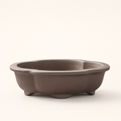 Bonsai Pots and Trays - Glazed and Unglazed