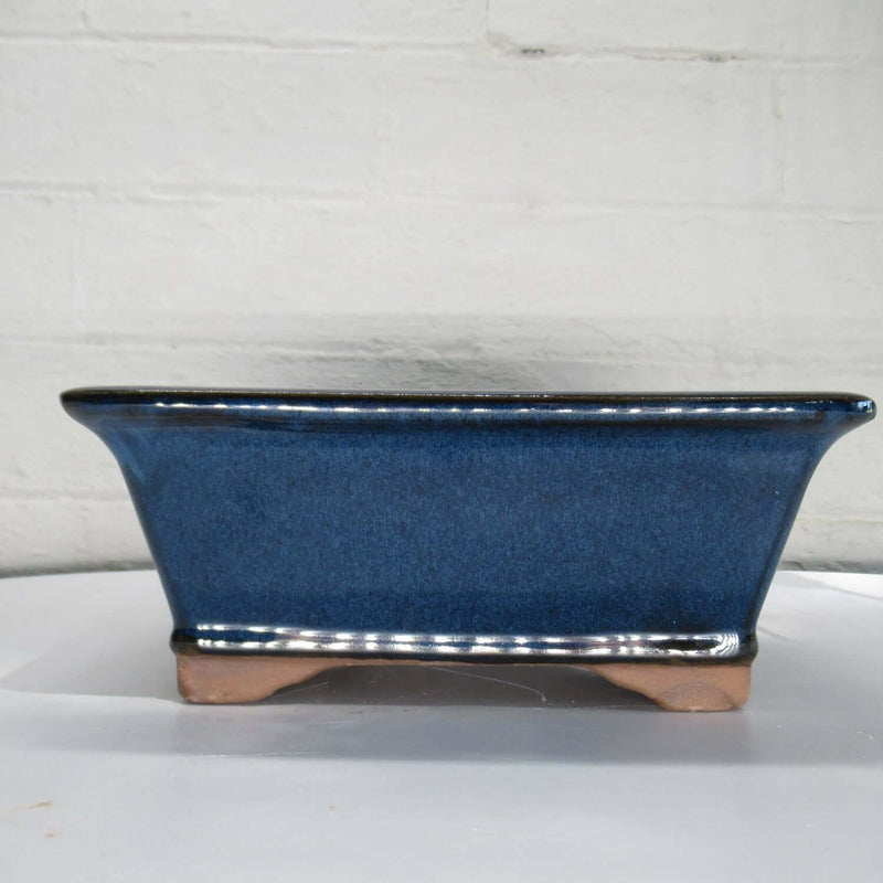 21cm Glazed Bonsai Pot | Rectangle | 21cm x 17cm x 9cm | Blue