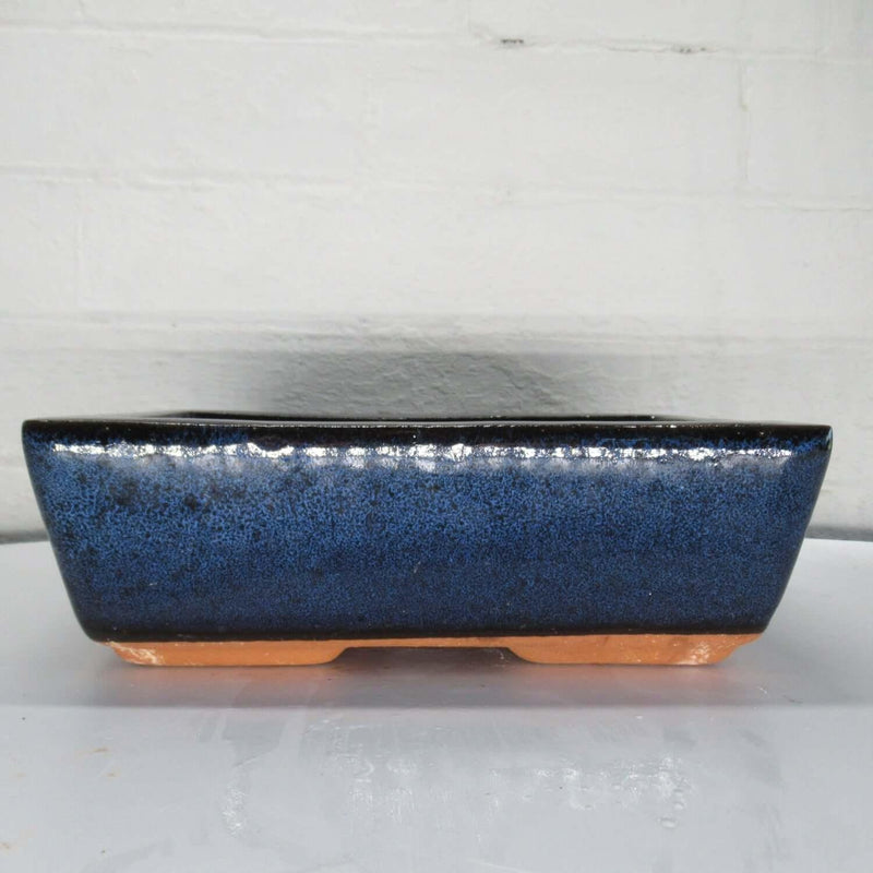 28cm Glazed Bonsai Pot | Rectangle | 28cm x 18cm x 8cm | Blue