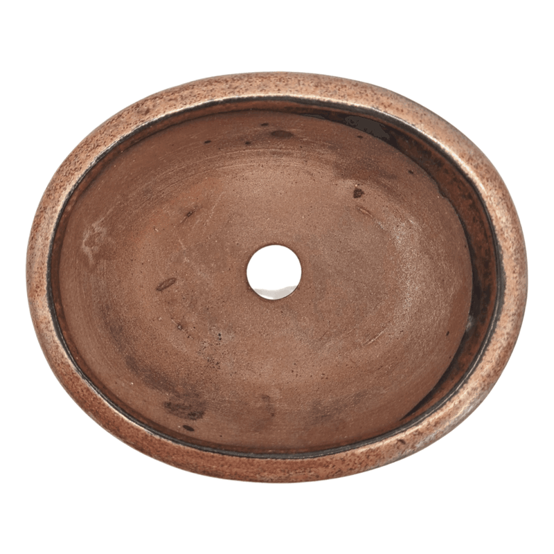 13cm Glazed Bonsai Pot | Oval | 13cm x 10cm x 5cm | Bronze