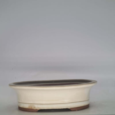 26cm Glazed Bonsai Pot | Oval | 26cm x 22cm x 7cm | White