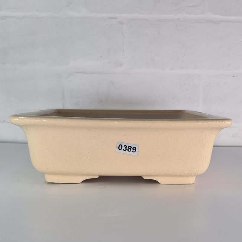 22cm Premium Glazed Bonsai Pot | Square | 22cm x 22cm x 6cm | Cream