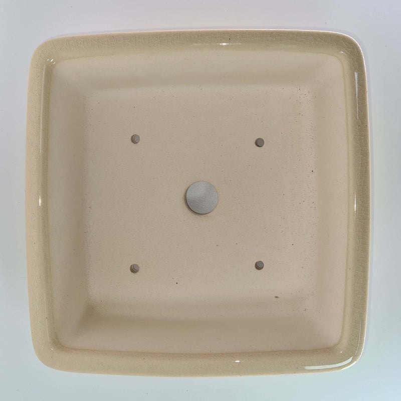 22cm Premium Glazed Bonsai Pot | Square | 22cm x 22cm x 6cm | Cream