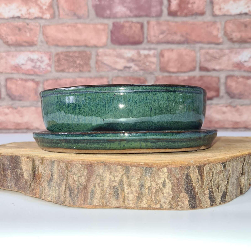 16cm Glazed Bonsai Pot | Oval | 16cm x 12cm x 3cm | Green