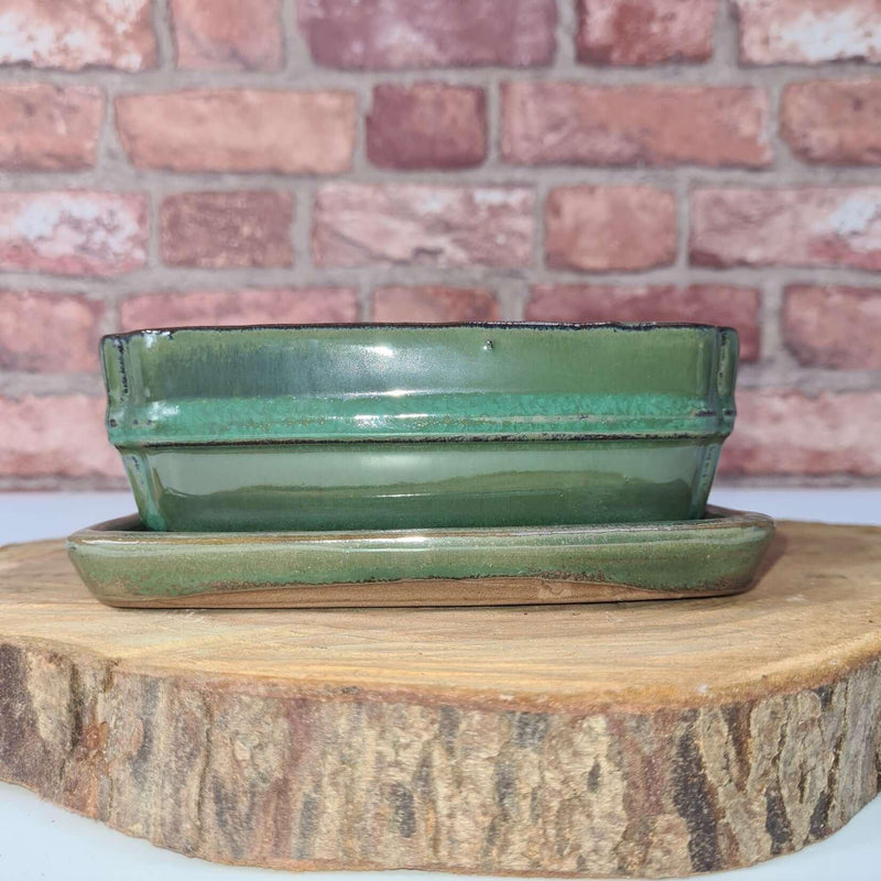 16cm Glazed Bonsai Pot | Rectangle | 16cm x 13cm x 4cm | Green