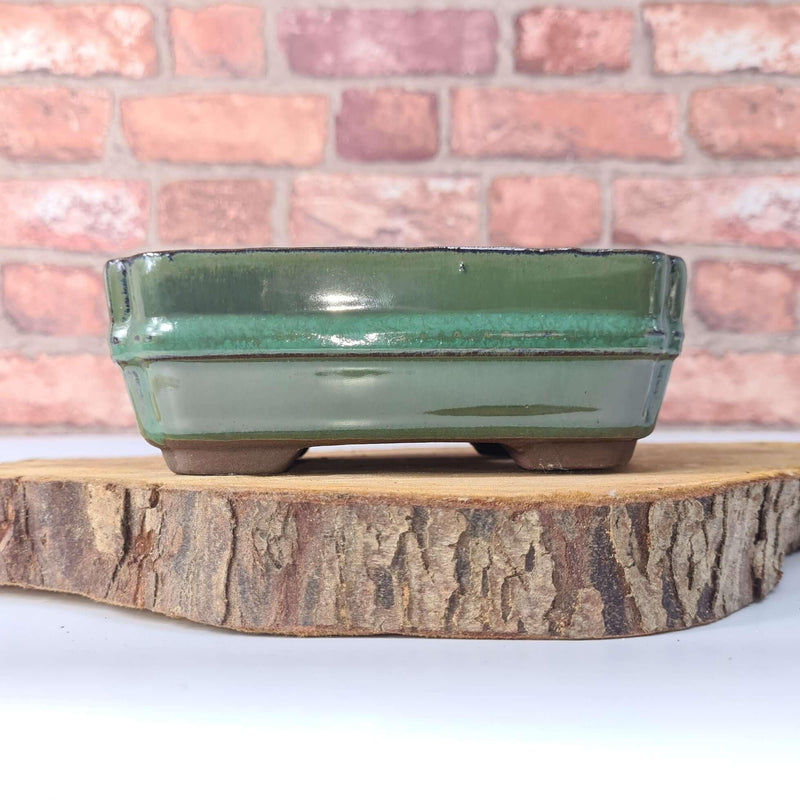 16cm Glazed Bonsai Pot | Rectangle | 16cm x 13cm x 4cm | Green