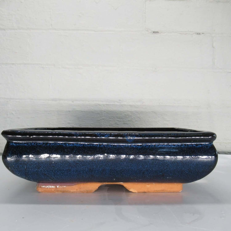 23cm Glazed Bonsai Pot | Rectangle | 23cm x 15cm x 7cm | Blue