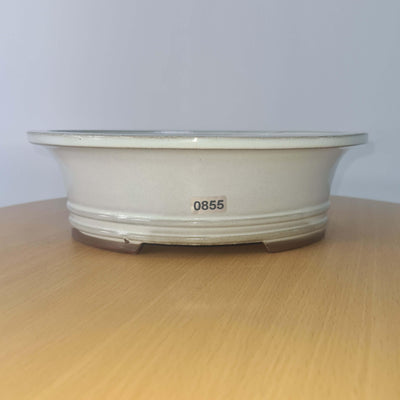 23cm Glazed Bonsai Pot | Oval | 23cm x 19cm x 7cm | White