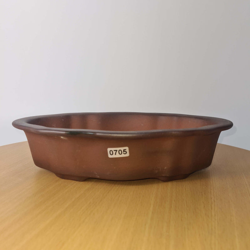 26cm Premium Unglazed Bonsai Pot | Oval | 26cm x 17cm x 6cm | Brown