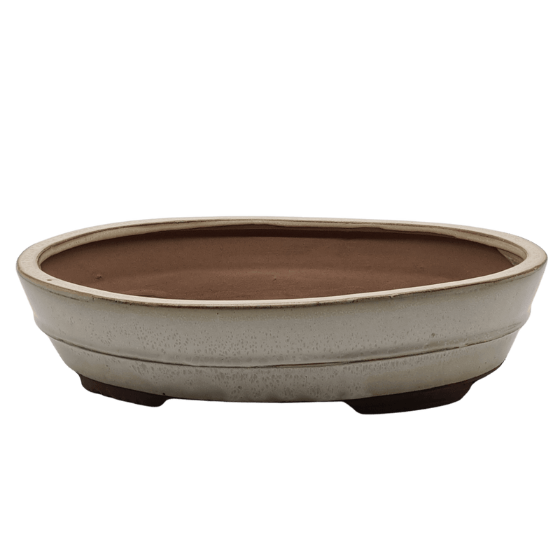 31cm Glazed Bonsai Pot | Oval | 31cm x 24cm x 7cm | White