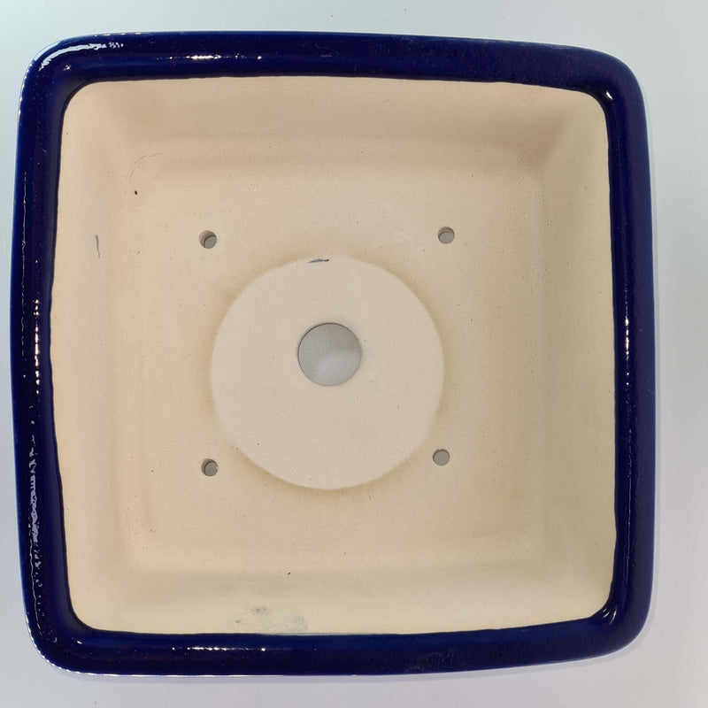 22cm Premium Glazed Bonsai Pot | Square | 22cm x 22cm x 6cm | Blue