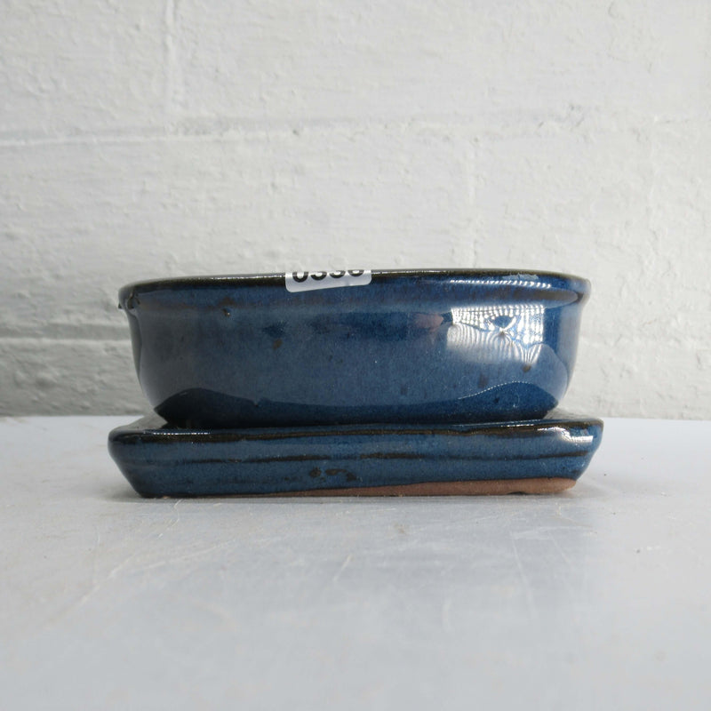 12cm Glazed Bonsai Pot | Oval | 12cm x 10cm x 5cm | Blue | With drip tray