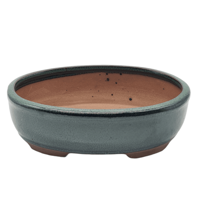 18cm Glazed Bonsai Pot | Oval | 18cm x 15cm x 5cm | Green