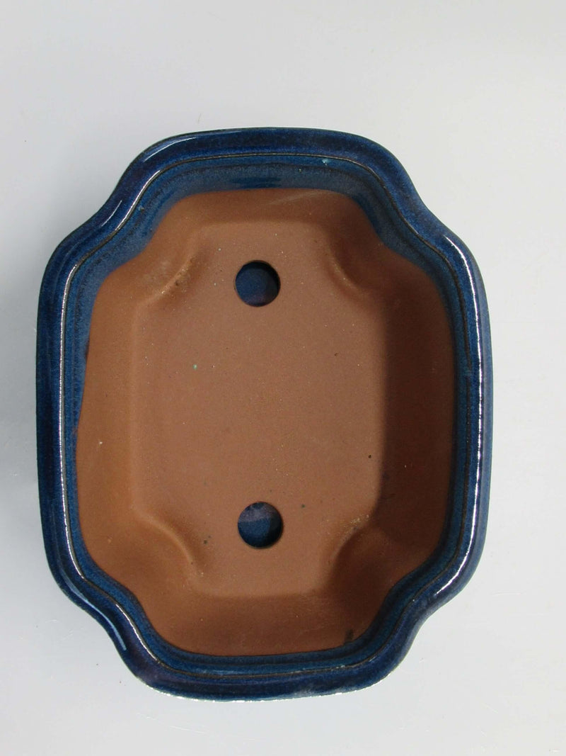 21cm Glazed Bonsai Pot | Rectangle | 21cm x 17cm x 7cm | Blue | With drip tray