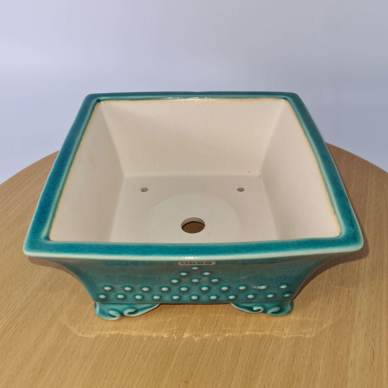 19cm Premium Glazed Bonsai Pot | Square | 19cm x 19cm x 10cm | Green