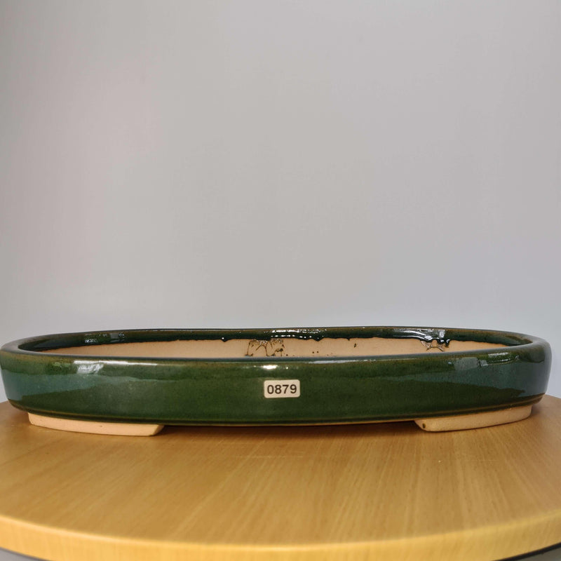 42cm Premium Glazed Bonsai Pot | Oval | 42cm x 27cm x 5cm | Green