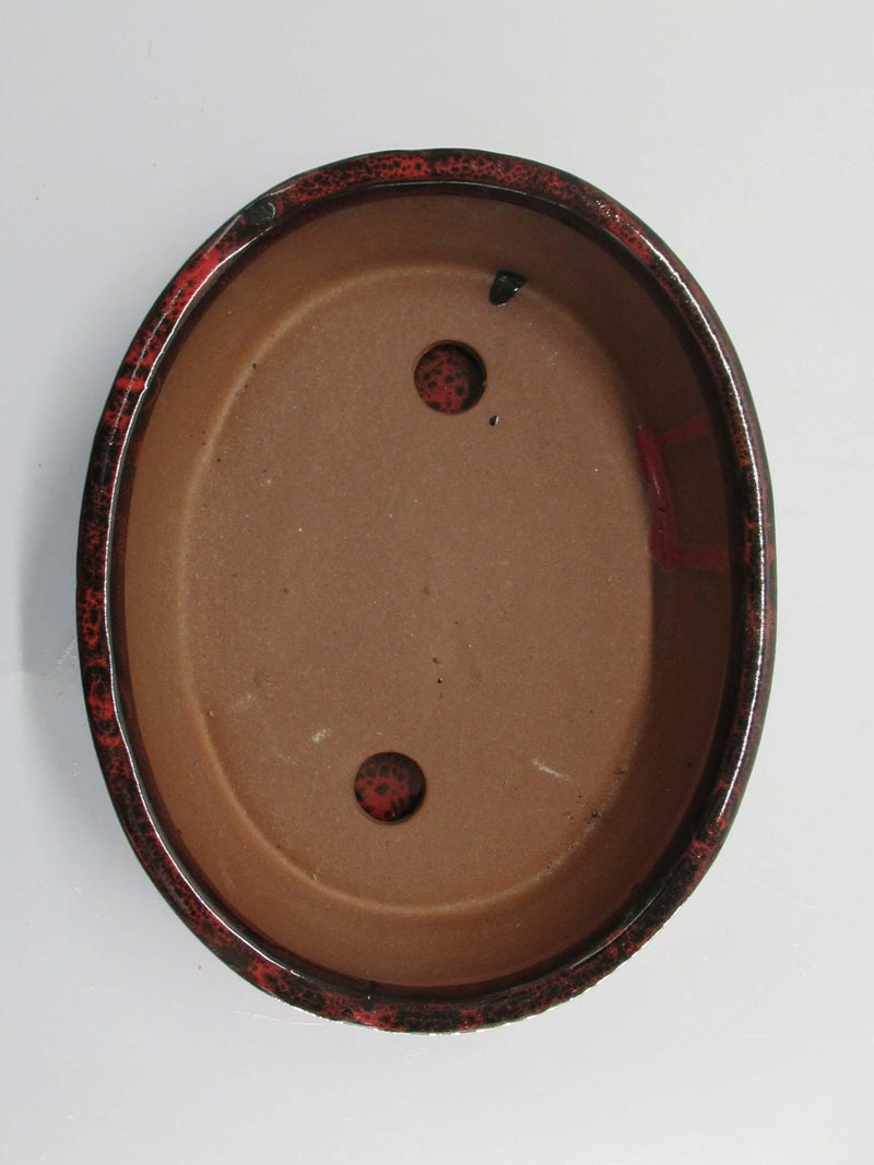 21cm Glazed Bonsai Pot | Oval | 21cm x 17cm x 6cm | Red | With drip tray