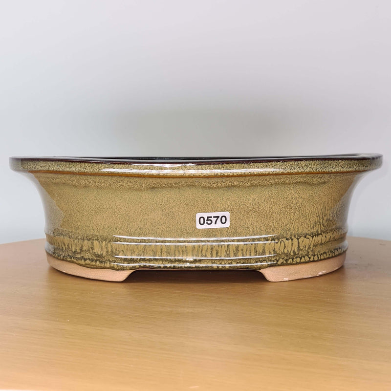 31cm Glazed Bonsai Pot | Oval | 31cm x 25cm x 9cm | Green