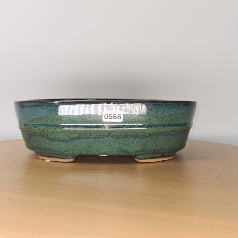 22cm Glazed Bonsai Pot | Oval | 22cm x 16cm x 7cm | Green