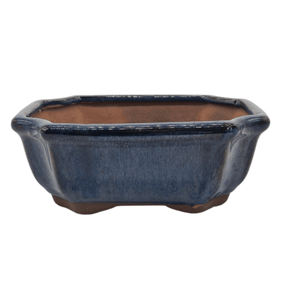13cm Glazed Bonsai Pot | Rectangle | 13cm x 10cm x 5cm | Blue