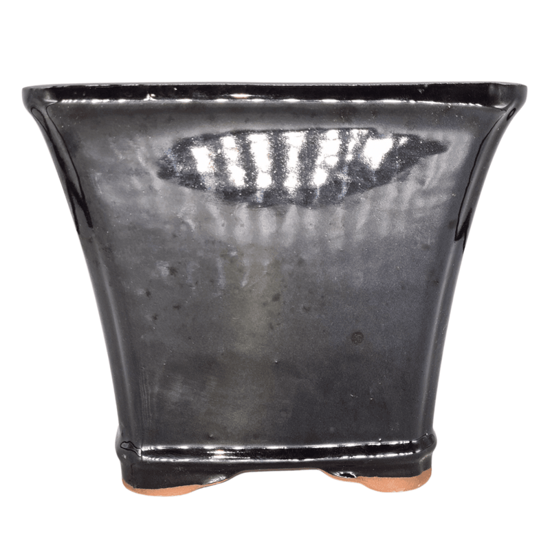 18cm Glazed Cascade Bonsai Pot | Square | 18cm x 18cm x 16cm | Black