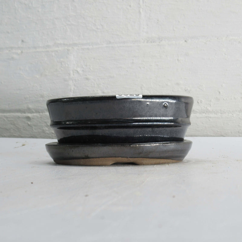 12cm Glazed Bonsai Pot | Oval | 12cm x 9cm x 5cm | Silver | With drip tray