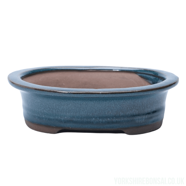 16cm Glazed Bonsai Pot | Oval | 16cm x 12cm x 4cm | Blue