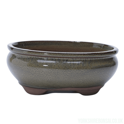 18cm Glazed Bonsai Pot | Oval | 18cm x 15cm x 6cm | Green