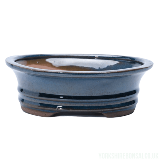 18cm Glazed Bonsai Pot | Rectangle | 18cm x 14cm x 4cm | Blue