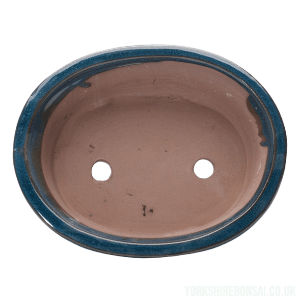 20cm Glazed Bonsai Pot | Oval | 20cm x 17cm x 5cm | Blue