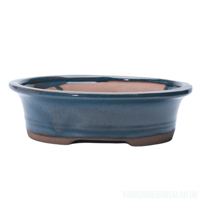 26cm Glazed Bonsai Pot | Oval | 26cm x 21cm x 7cm | Blue