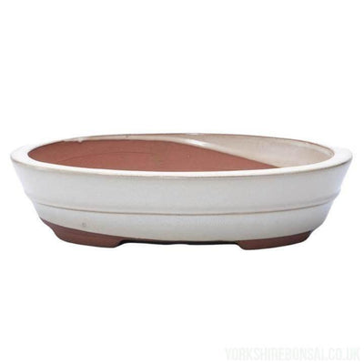 26cm Glazed Bonsai Pot | Oval | 26cm x 20cm x 6cm | White
