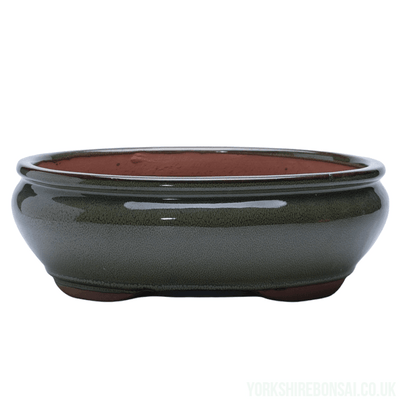 26cm Glazed Bonsai Pot | Oval | 26cm x 20cm x 6cm | Green