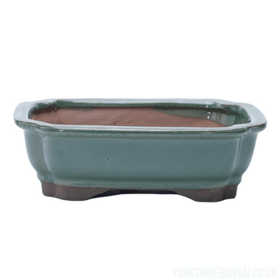 18cm Glazed Bonsai Pot | Rectangle | 18cm x 14cm x 4cm | Green