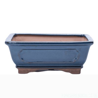 18cm Glazed Bonsai Pot | Rectangle | 18cm x 15cm x 6cm | Blue