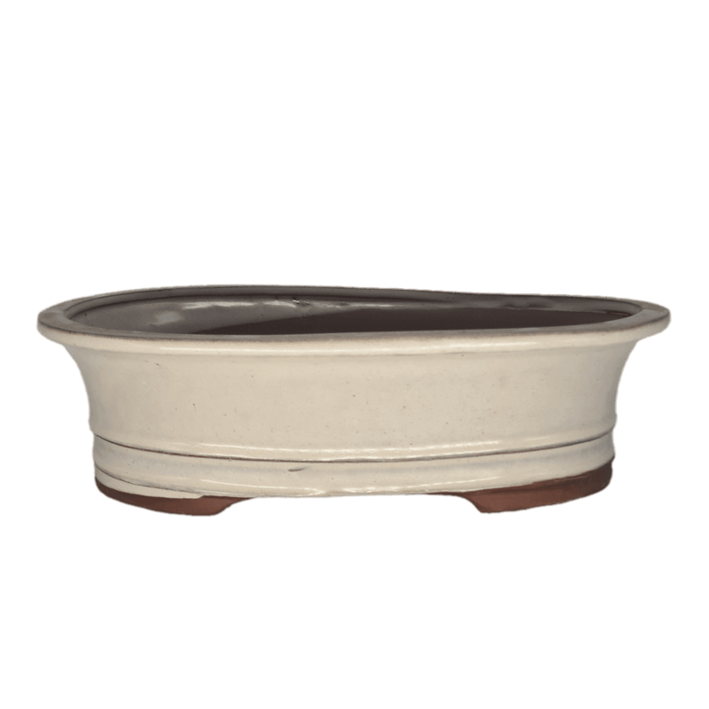 31cm Glazed Bonsai Pot | Oval | 31cm x 23cm x 9cm | White