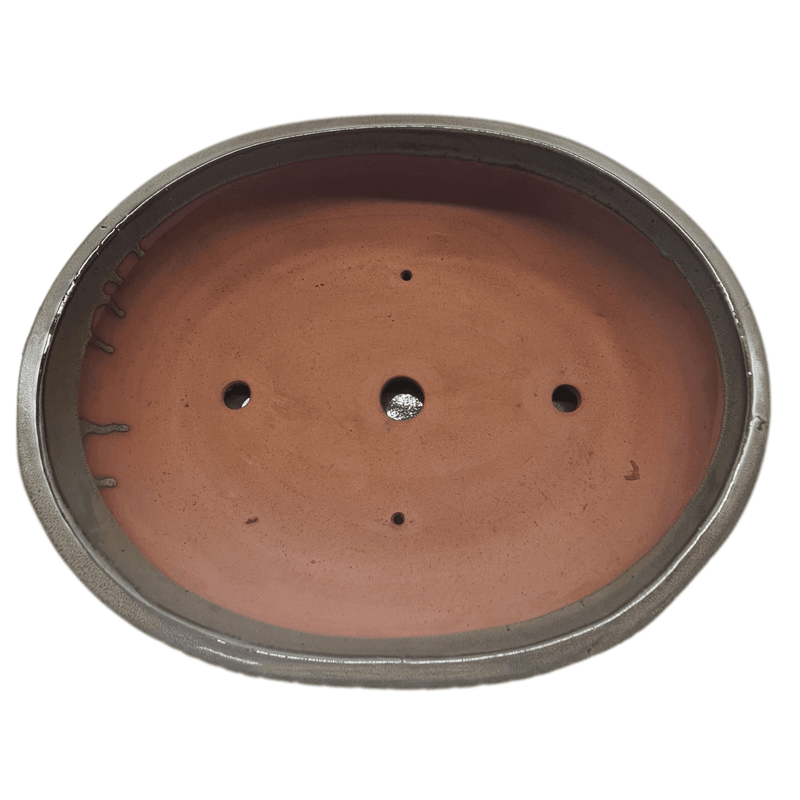 37cm Glazed Bonsai Pot | Oval | 37cm x 29cm x 10cm | Green | With Drip Tray