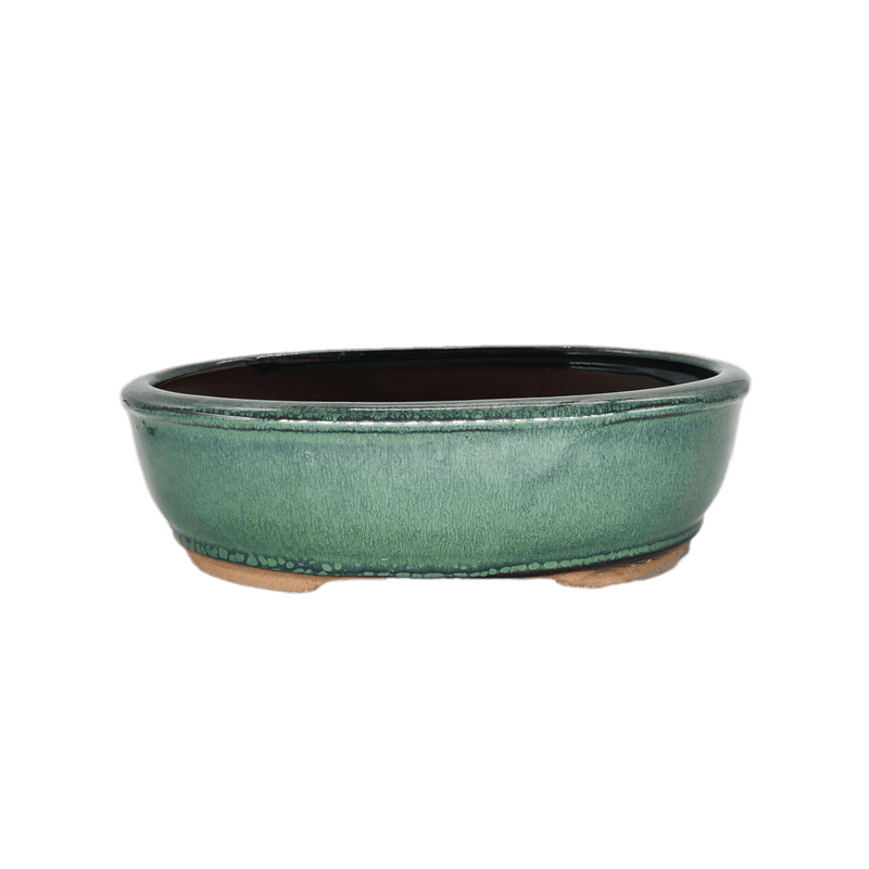 26cm Glazed Bonsai Pot | Oval | 26cm x 20cm x 8cm | Green