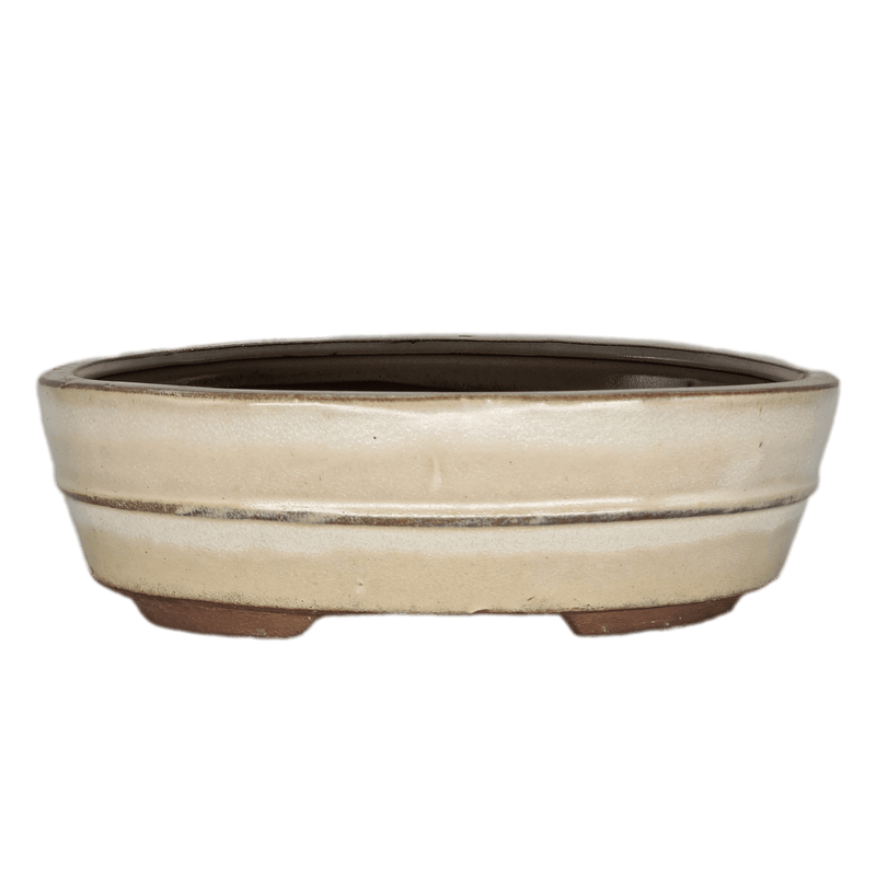 22cm Glazed Bonsai Pot | Oval | 22cm x 16cm x 6cm | White